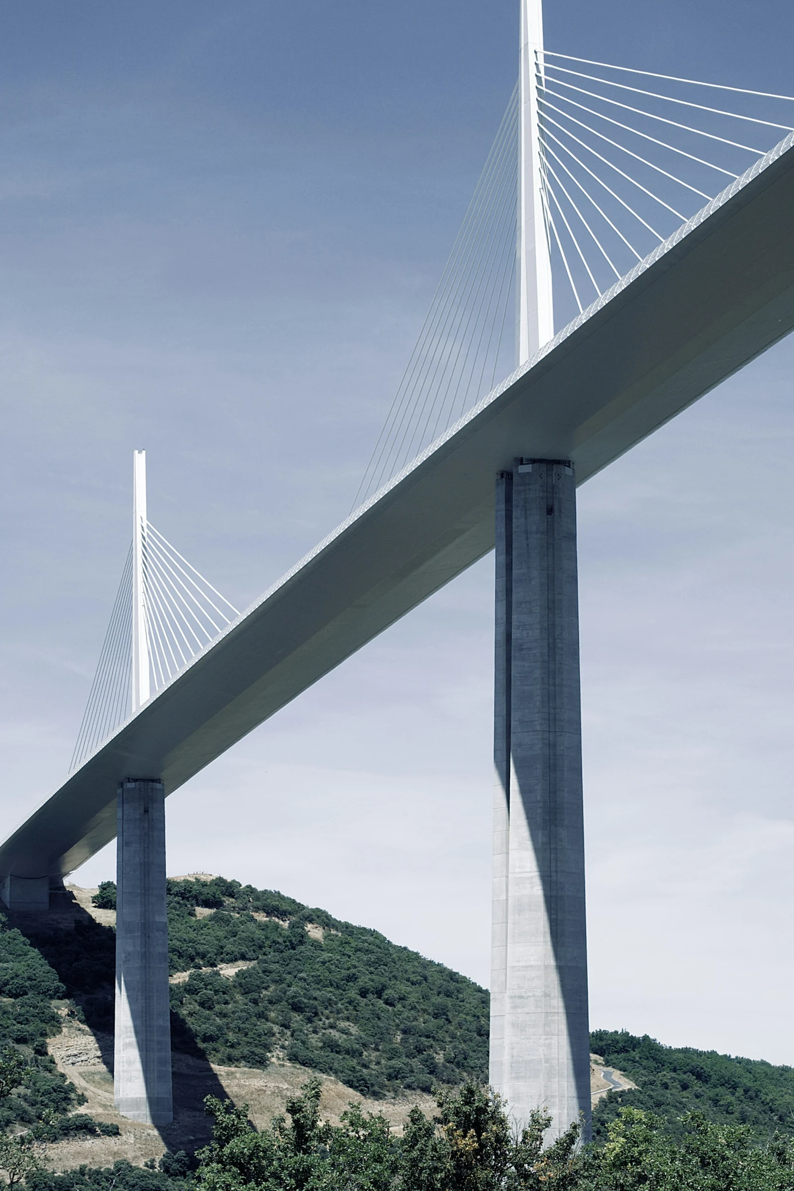 A real cable-supported bridge showing its structure and engineering in daylight